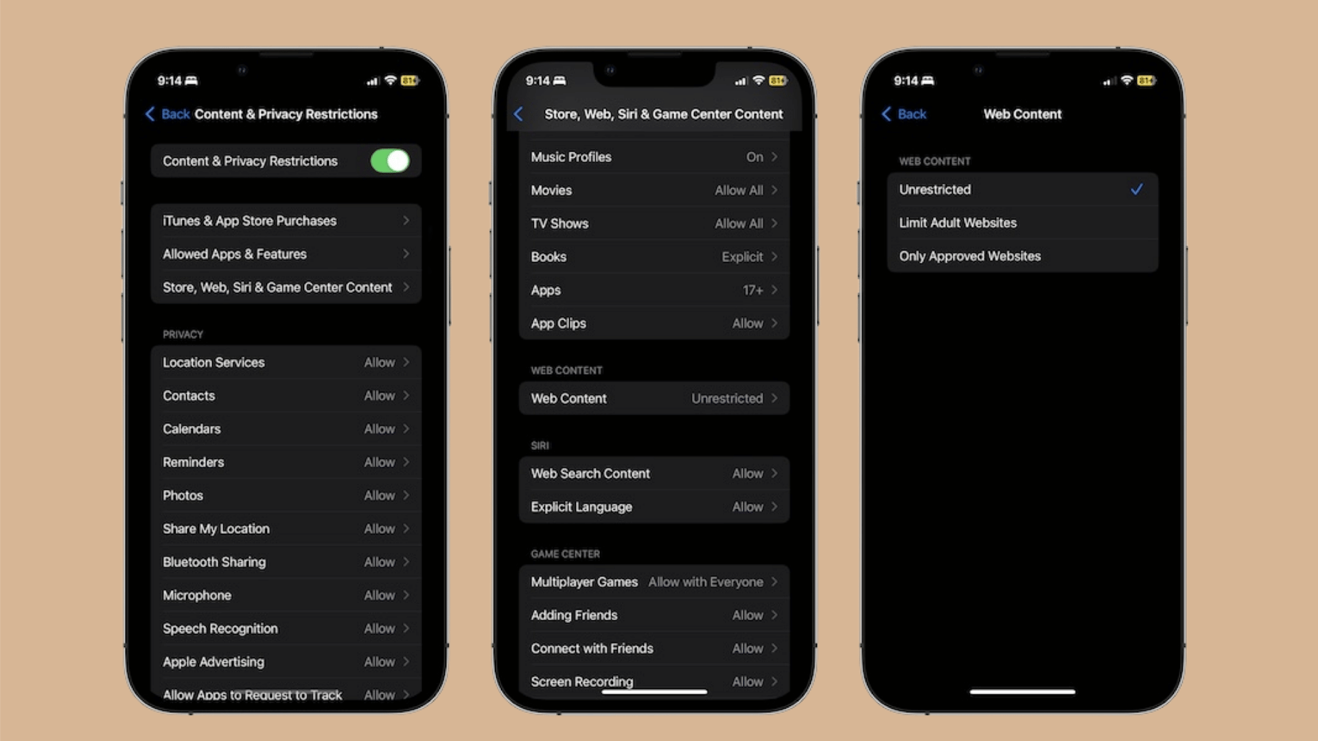 i-phone-parental-controls-content-privacy-restrictions-setup-showing-web-content-filter-options-and-restriction-settings-for-safe-browsing